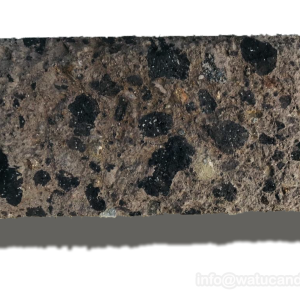 tiger-stone-brown-java-paras-kerobokan